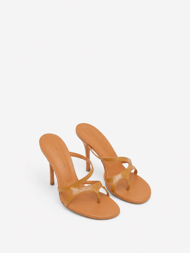 Calathea Heel