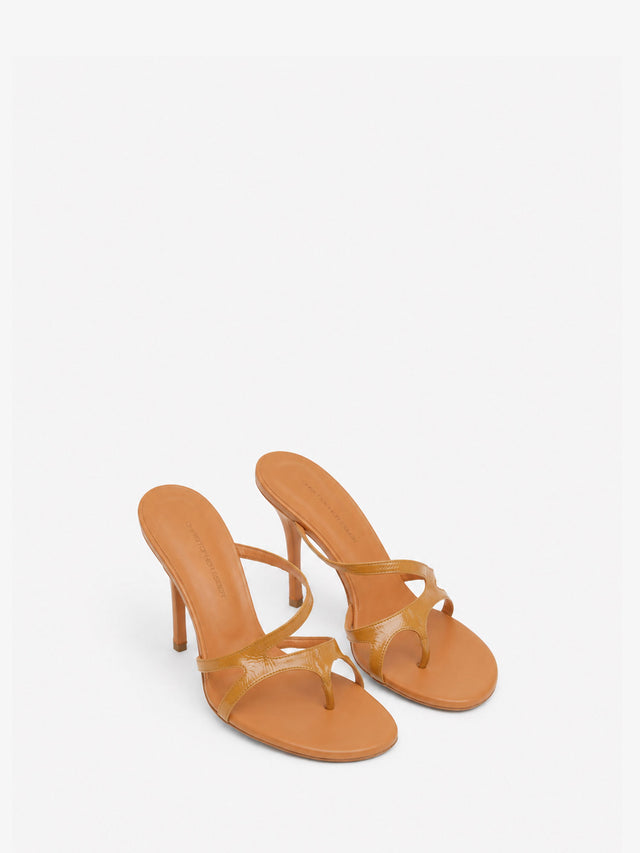 Calathea Heel