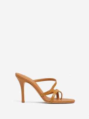 Calathea Heel
