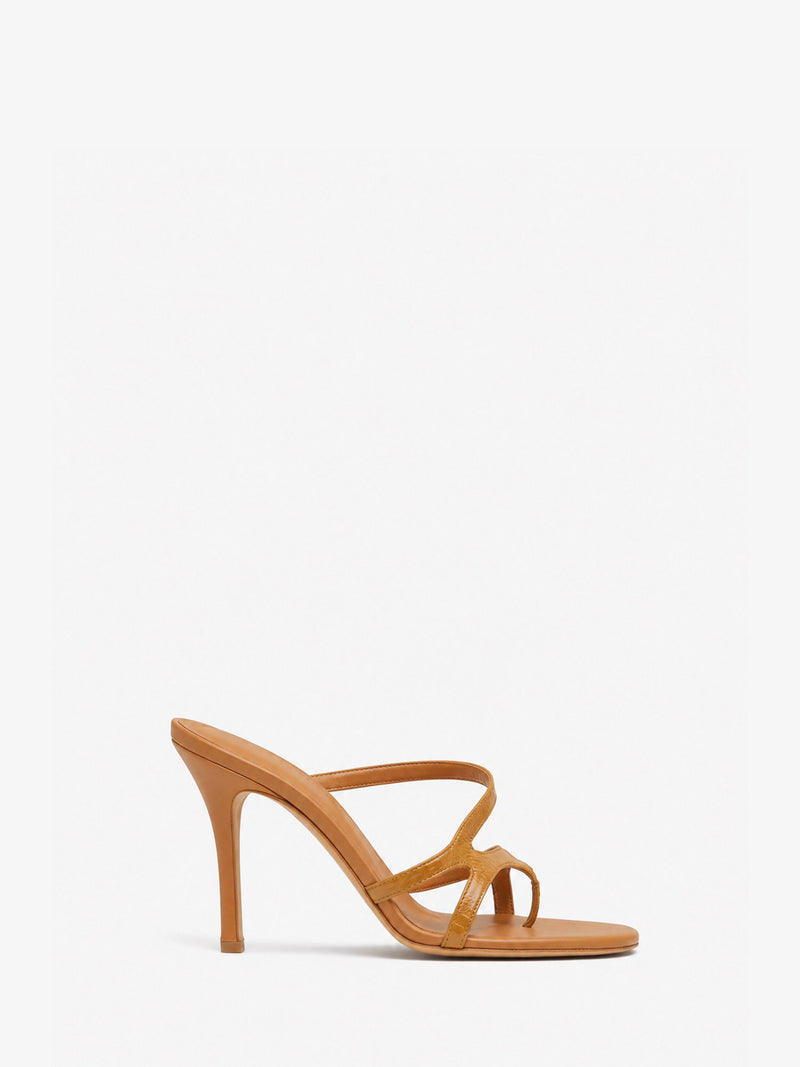 Calathea Heel - Image 1