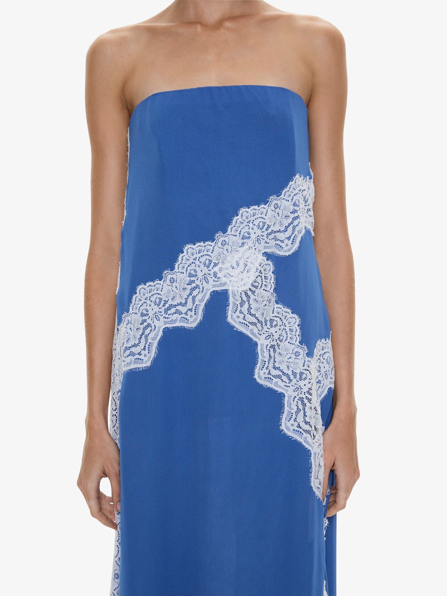 Verve Lace Strapless Dress