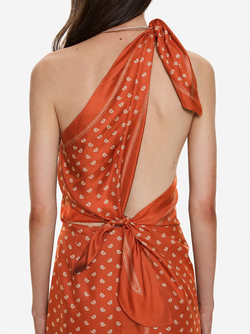 Bandana Scarf Tie Dress - Image 2